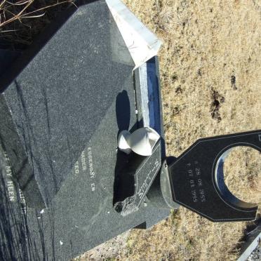 ? Carel Willem 1955-1995