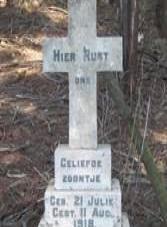 Mpumalanga, ERMELO district, Estancia, Nooitgedacht 237 IS, farm cemetery_2