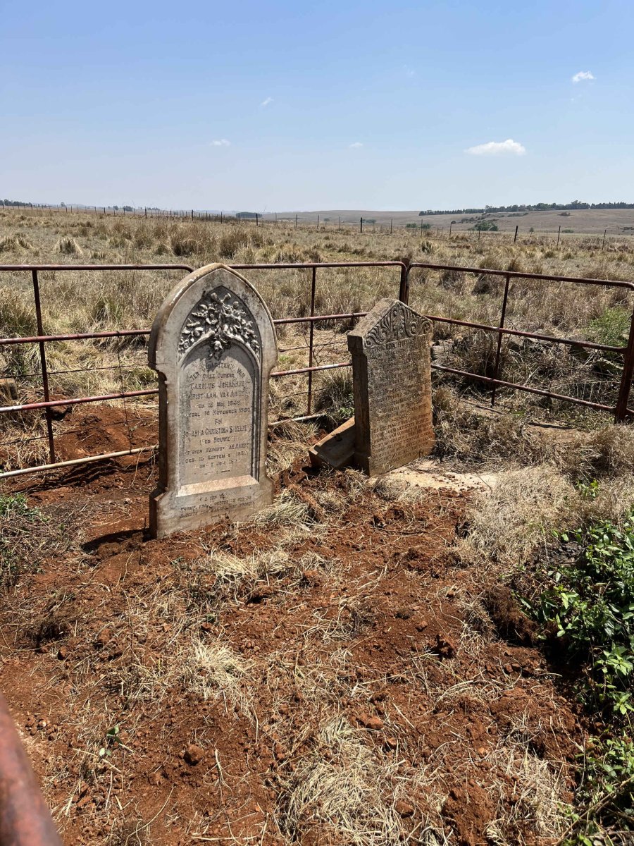 1. Oorsig / Overview