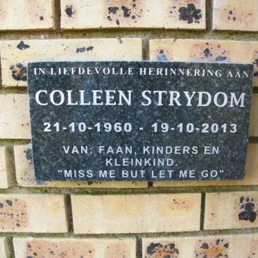 STRYDOM Colleen 1960-2013