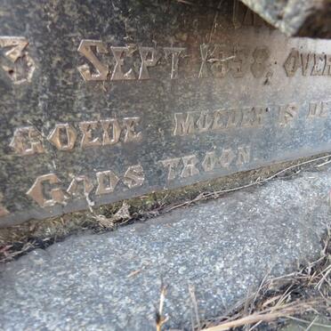 TEENGS Wilhelmina Elizabeth 1858-1925_3