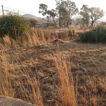 3. Overview / Oorsig