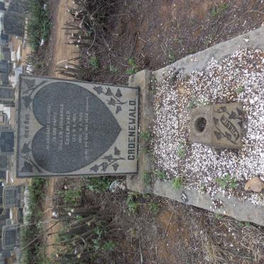 GROENEWALD Willem Johannes 190?-1949