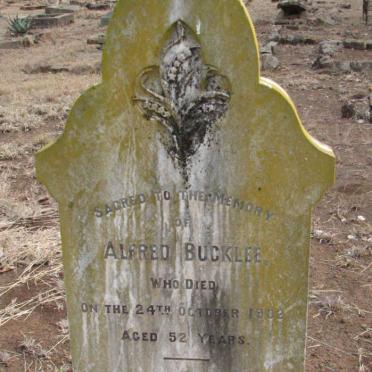 BUCKLEE Alfred -1902