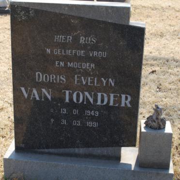 T - Vanne :: Surnames - T