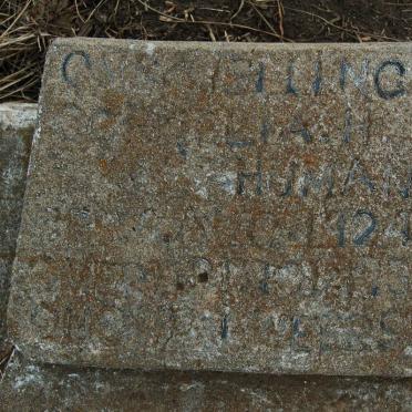 Mpumalanga, KRIEL district, Van Dyksdrif, Vlaklaagte 45, farm cemetery_1