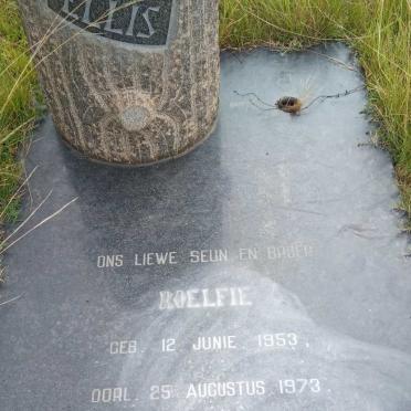 ELLIS Roelfie 1953-1973