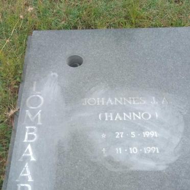 LOMBARD Johannes J.A. 1991-1991