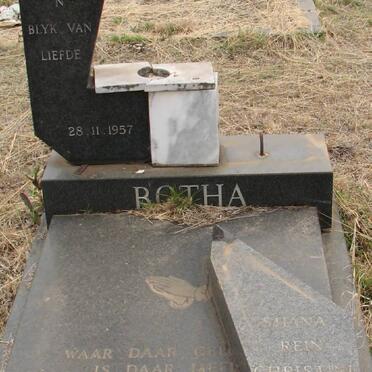 BOTHA Marius 1957-1980