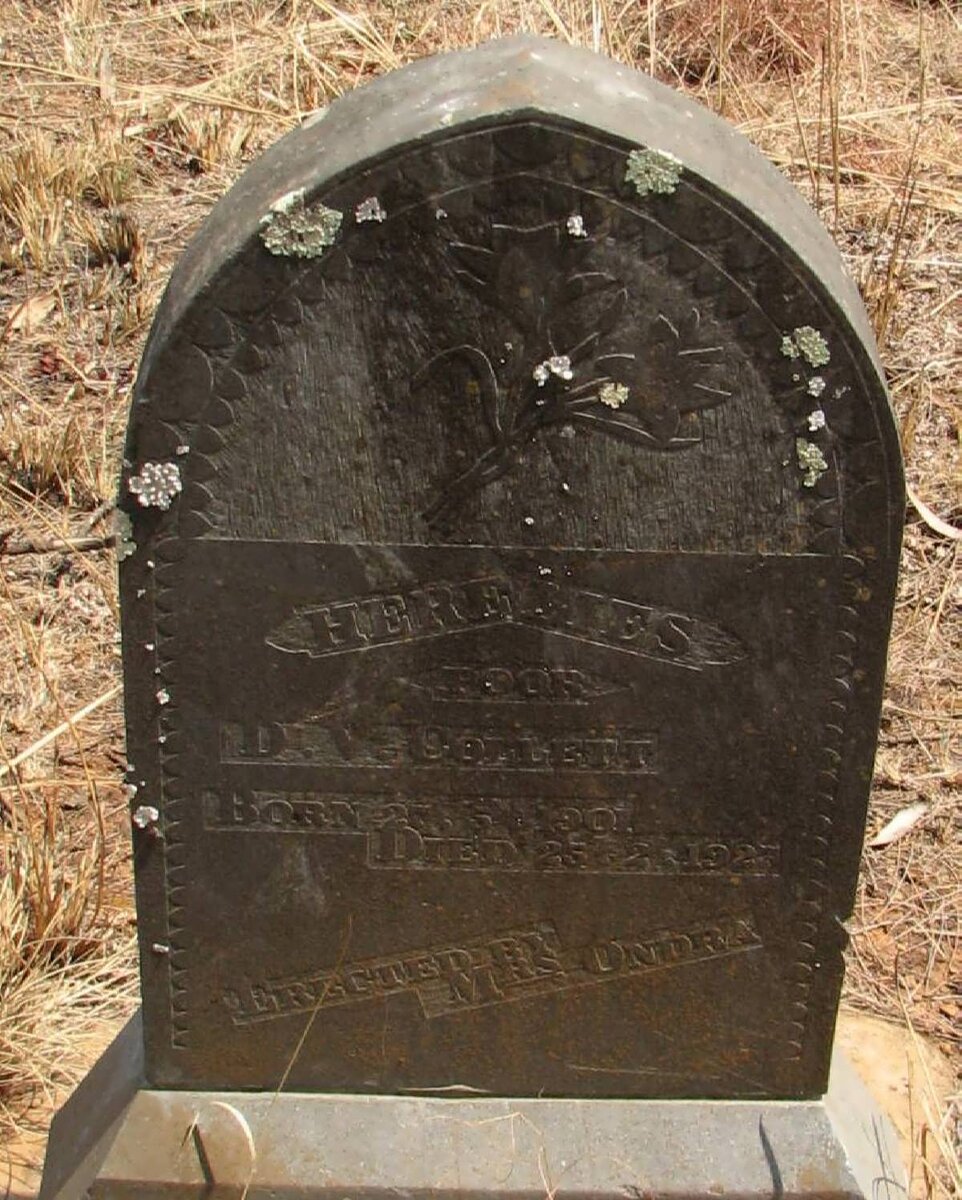 COLLETT D.V. 1907-1923