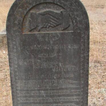 MILLER Maria Susanna nee GOLDBERG 1872-1920