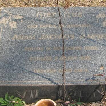 VILJOEN Adam Jacobus 1884-1961