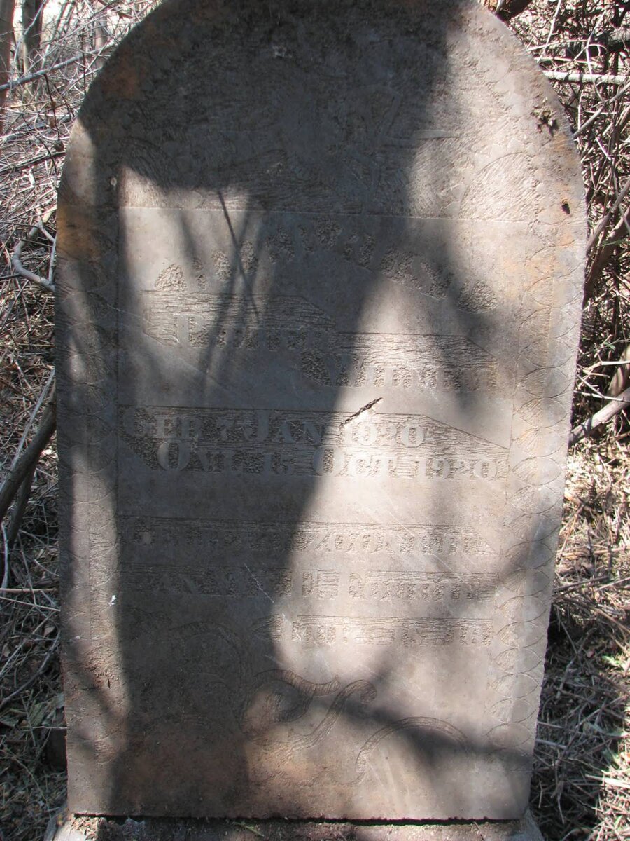 ? Pieter Willem 1920-1920