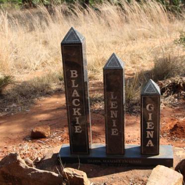 ? Blackie, Lenie, Giena