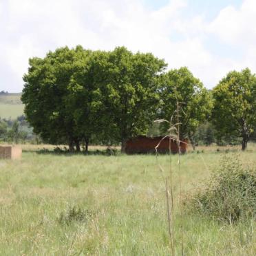 01. Overview on area