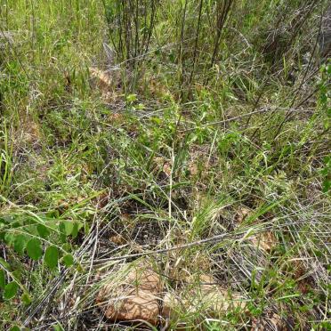 Mpumalanga, LYDENBURG district, Olifantshoek 387KT, farm cemetery