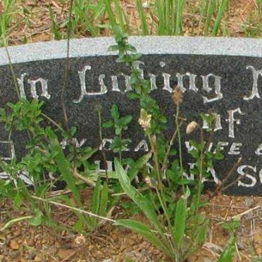 SCHACHTNER Johanna  -1962