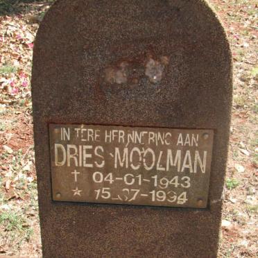 MOOLMAN Dries 1943-1994