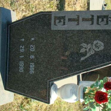 HERTZOG Riette 1966-1990