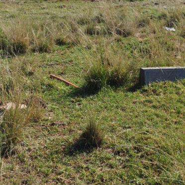 1. Overview / Oorsig