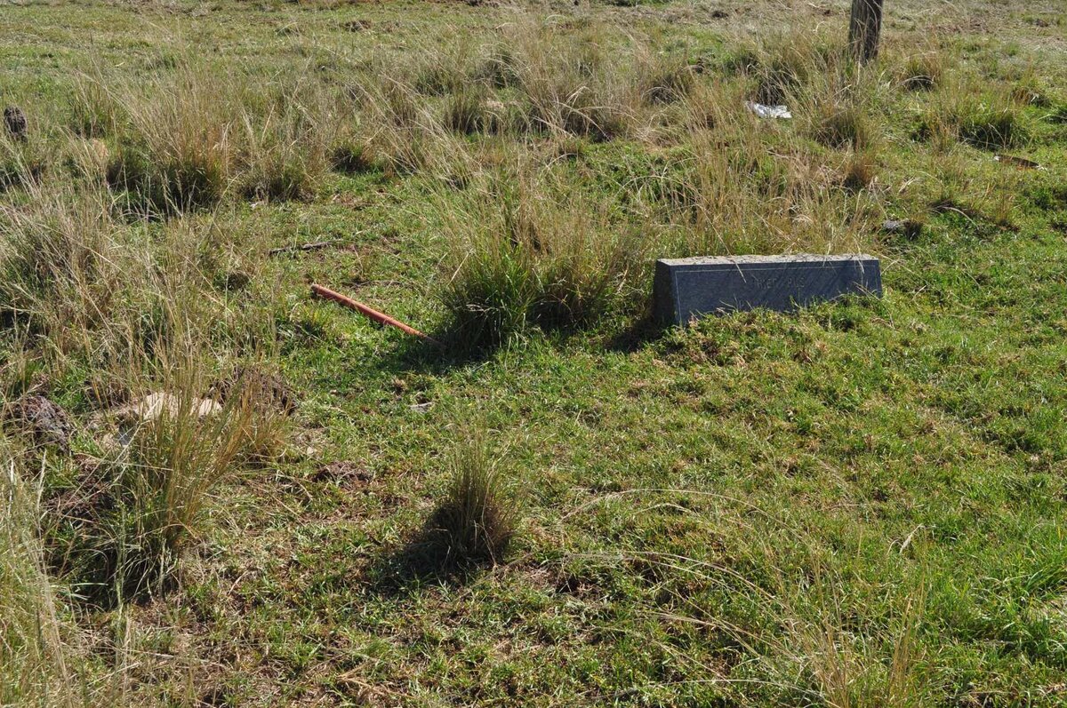 1. Overview / Oorsig