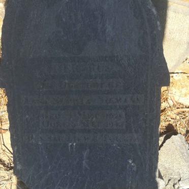 NIEMAN? Anna Sophia 192?-193?