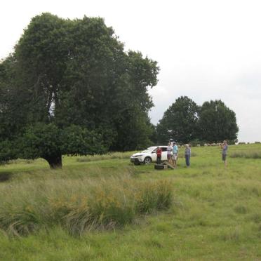 Mpumalanga, MIDDELBURG district, Hendrina, Boschmansfontein 182_2, farm cemetery