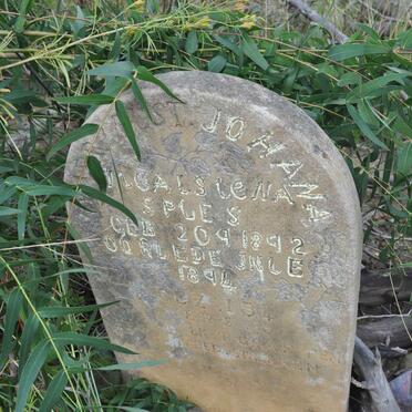 SPIES Johanna Nicalsiena 1892-1894