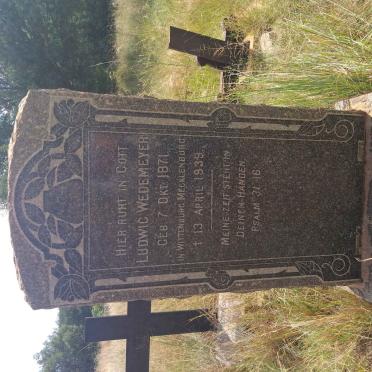 WEDEMEYER Ludwig 1871-1939