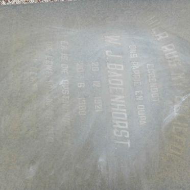 BADENHORST W.J. 1921-1980