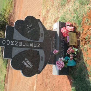 CORNELESEN Johanna Maria Petronella 1938-2018