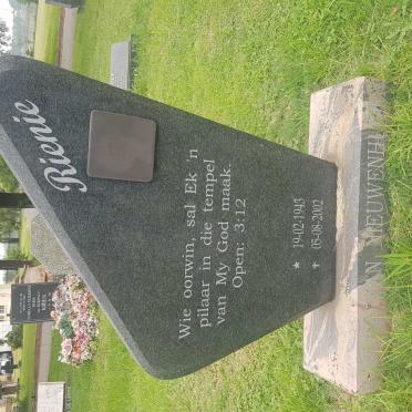 NIEUWENHUIZEN E.C.E., van 1943-2002