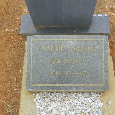 NAUDE tweeling 1967–1967 #1 (voorkant)