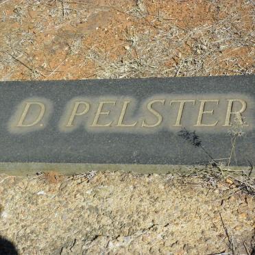 PELSTER D.