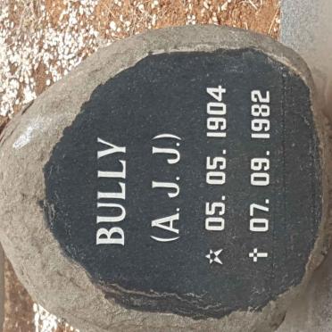 WYK A.J.J., van  1904-1982 &amp; S.I. 1927-1994 #3