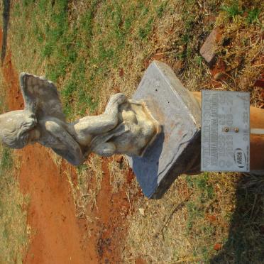 WILKINSON Johanna Berndina Salomina 1959-2013