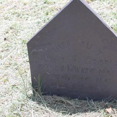 GROBLER Pouwel S. 1901-1901