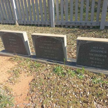 5. Oorsig DE JAGER - WESSELS - V.D. BERG grafte