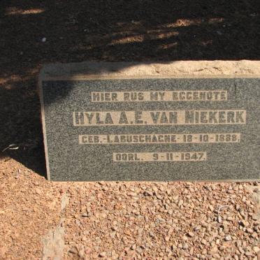 NIEKERK Hyla A.E., van nee LABUSCHAGNE 1888-1947