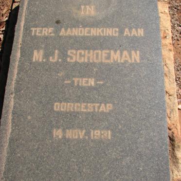 SCHOEMAN M.J. -1931