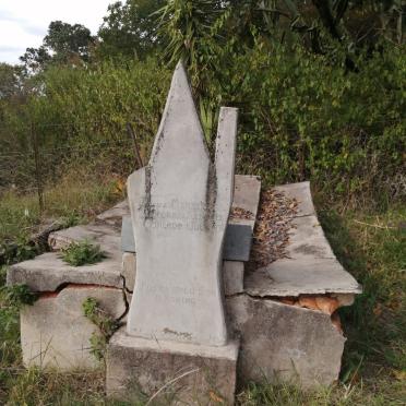 MERWE Johannes Lodewickus, van der 1873-1956 