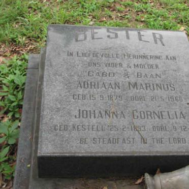 BESTER Adriaan Marinus 1879-1966 &amp; Johanna Cornelia KESTELL 1893-1937