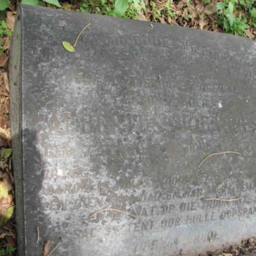 ? Albertus Johannes ?