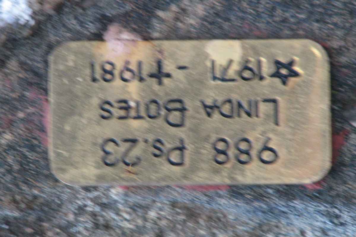 BOTES Linda 1971-1981