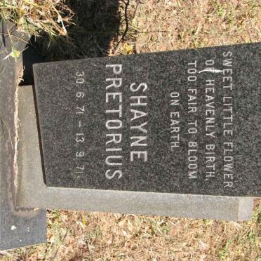 PRETORIUS Shayne 1971-1971