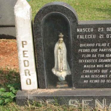 SENA  Pedro, de 1973-1993