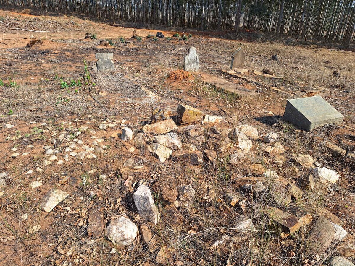 8. Overview / Oorsig