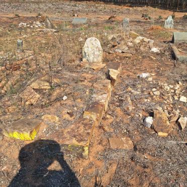 6. Overview / Oorsig