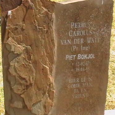 WALT Petrus Carolus, van der 1957-2005