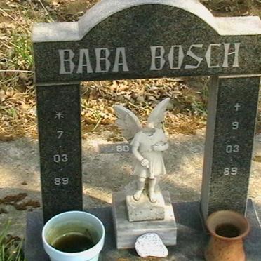BOSCH Baba 1989-1989